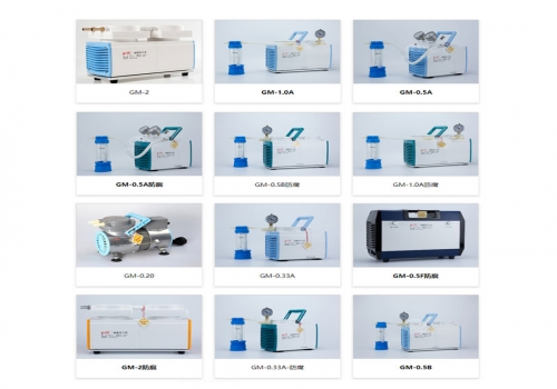 GM-2隔膜真空泵